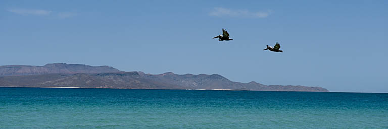 Tecolote beach, Baja Sur.