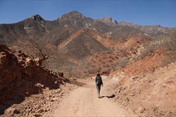 Almost down at the bottom of Urique Canyon, dirt road.