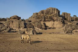 Valle de las Ranas, horse grazing, Copper Canyon near Creel.