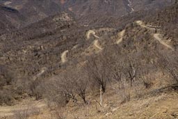 Serpentines, down Urique Canyon.