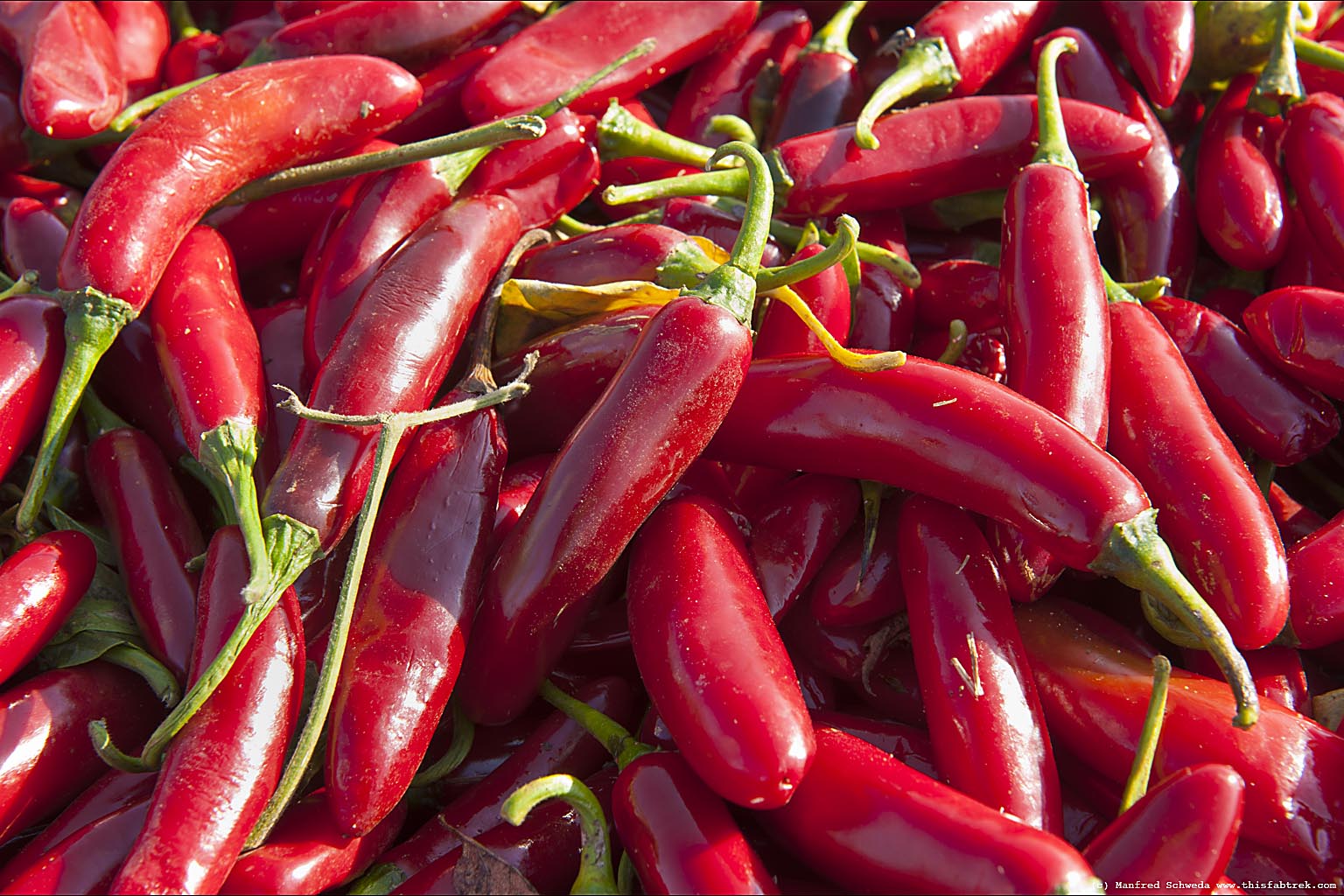Chili Recipe Red Pepper At Phyllis Johnson Blog Chili Recipe Red Pepper At Phyllis Johnson Blog