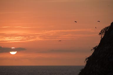 Sunset, birds, island near Puerto Vallarta.