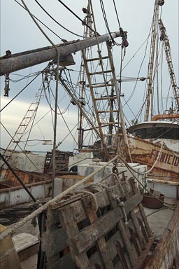 Rusty ships in Lagoon of Alvarado.