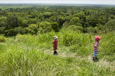 Olmec pyramid in La venta, Tobasco, Mexico