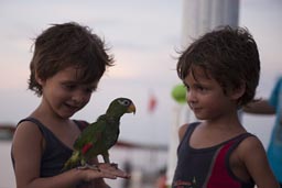 Parrot sits on Daniels hand, David watches on, Rio Lagartos. 