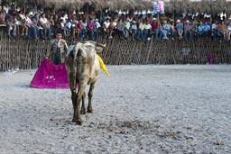 Bullfighting Yucatan.