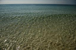 Costa Maya, water is so clear.