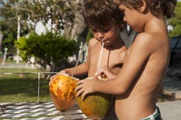 Fresh coconuts for the boys. Chetumal, morning.