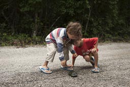 A turtle helps to raise the boy's spirit on a morning when there is no food.