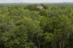 Maya pyramid/temple overlooking the jungle in Calakmul,.