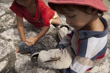 Huge grasshopper on boys leg, Calakmul, Mexico.