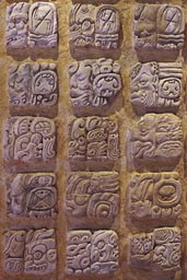 Reproduction of Maya glyphs. The hieroglyphs can be read since the 70s and helped shed light on history and rulers.