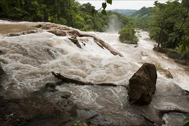 Waterfalls Agua Azul, Chiapas.