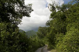 Beyond La Realidad, rains threaten. Chiapas, the Lacandon jungle.