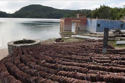 Lago Tziscao, roof tiles.