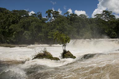 Causas Verdes las Nuves Chiapas, Rio Santo Domingo.