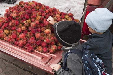 Exotoic fruit attracts, Street fruit market San Cristobal de las Casas.