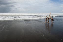 Showing Daniel and David what to do on a beach. C. and the boys, the Pacific Ocean.