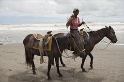 Guy and hoses leave, Pacific Beach, Mexico. Playa Bonfil.