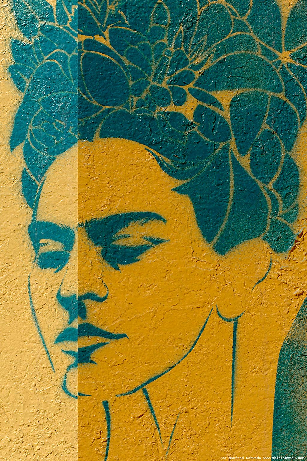 Frida Kahlo Pole