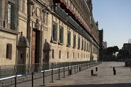 Cat, free space in front of Palacio National, Zocalo, Mexico City..