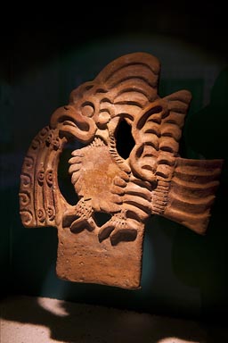 Bird, museum, Teotihuaca.