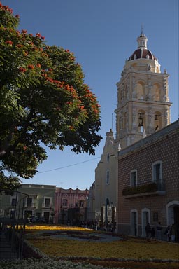 Zocalo church. Atlixco. A bed of flowers, El Dia de los Muertos.