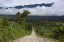The Lacandon jungle around, clouds hang low. The Montes Azules Biosphere Reserve.