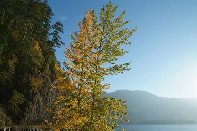 Weather nice, Lake Crescent, Olympic N.P.