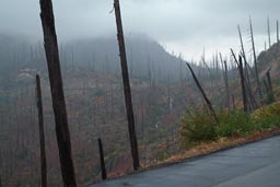 Fog and rain, Mount St. Helens.