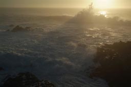 White spume, sunset California coast.