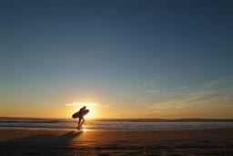 Beach and sunset, surfer and board.