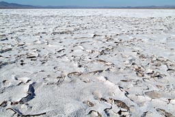 Salt crusts, Mojave Desert.