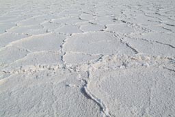 Pattern of salt, hexagonal honeycomb shape, Badwater lake, Death Valley.