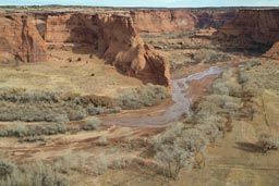 Orchards, Chelly Canyon.