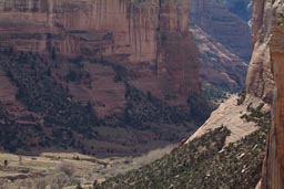 Detail, Canyon de3 Chelly.