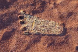Foot print on red rock in Chelly Canyon.