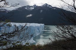 North end through some bushes and trees, Perito Moreno glacier, Argentina.
