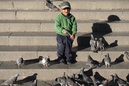 La Paz, Plaza Murillo, boy and pigeons.