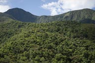 Yungas, lush green, Bolivia.