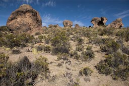 Rocks, on road to Sajama volcano.