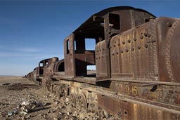 Steam locomotives.