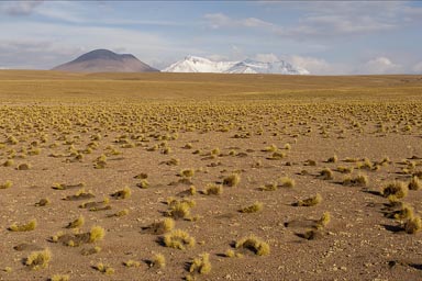 Late and high, 4,600m. Bolivia south-west.