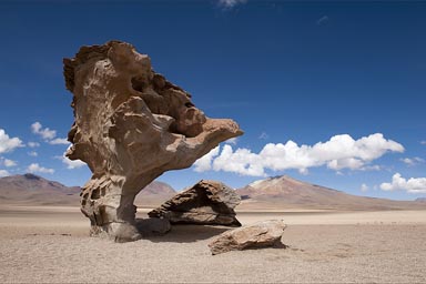 Tree Rock on altiplano, Bolivia.