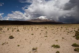 Bolivia, Cerro Tomasamil.