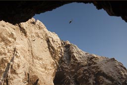 South of Arica is a rock and the birds build their nests on it and ever since they shat and shat till the rock turned white. Northern Chile.