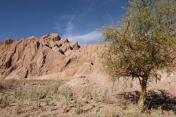 The Cartape valley. San Pedro Atacama.