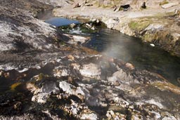 Stream passing White Geyser. Atacama, Chile.