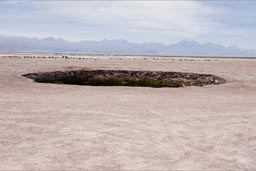 Eyes in the Salt flat desert, Atacama.