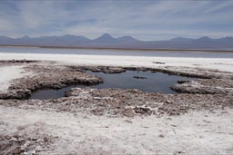 Laguna Tebinquinche, Tatacama desert.